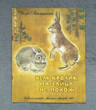 Чем кролик на зайца не похож. И. Акимушкин. Худ. С. куприянов. 1981 год., фото №2