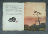 Чем кролик на зайца не похож. И. Акимушкин. Худ. С. куприянов. 1981 год., фото №9