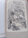 "Das Tierleben der Alpenwelt" Fr v. Tschudi. 1872., фото №12