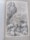 "Das Tierleben der Alpenwelt" Fr v. Tschudi. 1872., фото №13