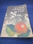 Яблоня в вашем саду и.н. гусева книга, фото №2