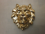 Накладки барельєфи голова лева., фото №5
