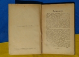 Сочинения Полежаева 1892г., фото №6