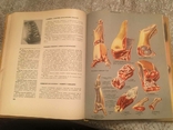 Книга про смачну і корисну їжу. 1965 р., фото №4