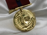 Медаль корпусу морської піхоти США, фото №4