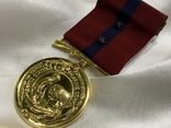 Медаль корпусу морської піхоти США, фото №5
