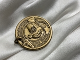 Медаль корпусу морської піхоти США, фото №4
