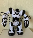 Робот на радиоуправлении Robotaktor TT 313, numer zdjęcia 4