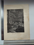 К 4.7.Дореволюционная фототипия 1906 г Лесной вид на Гарце, фото №2