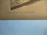 К 4.7.Дореволюционная фототипия 1906 г Скелет человека утонувшего во время потопа, фото №6