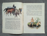 Шумит луговая овсяница. Евгений Носов. Рис. Н. Устинова. 1982 год., фото №6