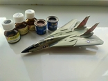 F-14 Tomcat + фарба, фото №2