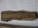 Фрагменти скам'янілого дерева ( 5 шт. ), фото №5