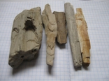 Фрагменти скам'янілого дерева ( 5 шт. ), фото №11