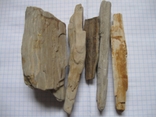 Фрагменти скам'янілого дерева ( 5 шт. ), фото №12