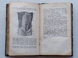 Матіасъ Дюваль.Анатомія для Художниковъ.1912 годъ.., фото №11