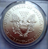 1 доллар США "Шагающая Свобода-Серебрянный орел", 2014 г, серебро слаб PCGS MS-69, фото №4