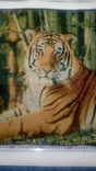 Tapestry "Tiger" 0.46 * 0.46cm. New. 2pcs per lot, photo number 3