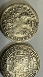 Орты Пруссия 1623-1699гг., фото №10