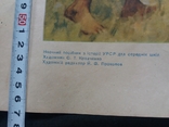 Плакат шкільний 1955 р., фото №11