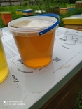 Мёд из разнотравья 10 литров, фото №2