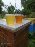 Мёд из разнотравья 10 литров, фото №4