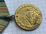 Медаль За оборону Кавказа, фото №3