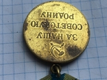 Медаль За оборону Кавказа, фото №10