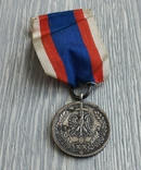 Медаль. 20 років бездоганної служби народу / МВС / Польща, фото №2