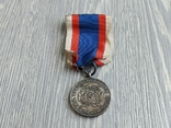 Медаль. 20 років бездоганної служби народу / МВС / Польща, фото №8