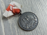 Медаль. За заслуги / пожежна служба / Польща, фото №10