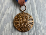 Медаль. За заслуги в охороні громадського порядку / Польща, фото №4