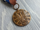 Медаль. За заслуги в охороні громадського порядку / Польща, фото №5