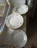Тарілки керамічні 14 шт (діаметр 19; 23; 24,5 см), photo number 2