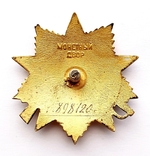 Орден Отечественной войны 1-й степени N828120, фото №6
