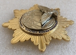Орден миру 1 ступеня + медаль 55-річниці, фото №5