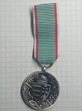 Пам'ятна військова медаль (Угорщина) копія, фото №2