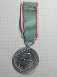 Пам'ятна військова медаль (Угорщина) копія, фото №3
