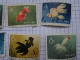 1960 г. Китай. Золотые рыбки, фото №4
