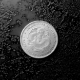 20 центов Квантунг (Китай) 1890 серебро, фото №2