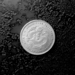 20 центов Квантунг (Китай) 1890 серебро, фото №4