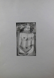Ісупов В.І. авторский папір, акварель, туш, перо, 10*17 см, фото №3