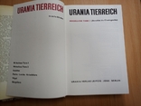  Urania Tierreich (Царство животных. Ч 1 ,2 - безпозвоночные) на немец. 1970 г., фото №8