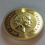Золотая монета Австралии 200 долларов Год Змеи 2001 г 2 OZ(62.2 г.), фото №7
