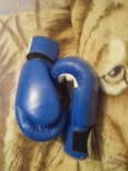 2 пары проф.боксерских перчаток MATSA + пара тренировочных лап, photo number 9