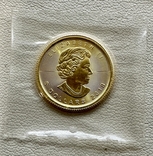 5 долларов 2018 год Канада, золото 3,11 грамм 999,9, фото №3