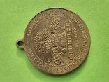 Медаль Американского Общества Оптовой Торговли Сельское Хозяйство. 50 лет 1863-1913, фото №6