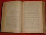 Россия и Европа. Данилевский Н.Я. 1889г, фото №8