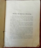 Сказка Ами Пальмъ. Лилли и ея Щеночек Звёздочка. М. Тип. Кушнерев и Ко. 1909 г., фото №4