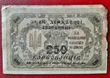 250 карбованців 1918 номер всі 333333, фото №4